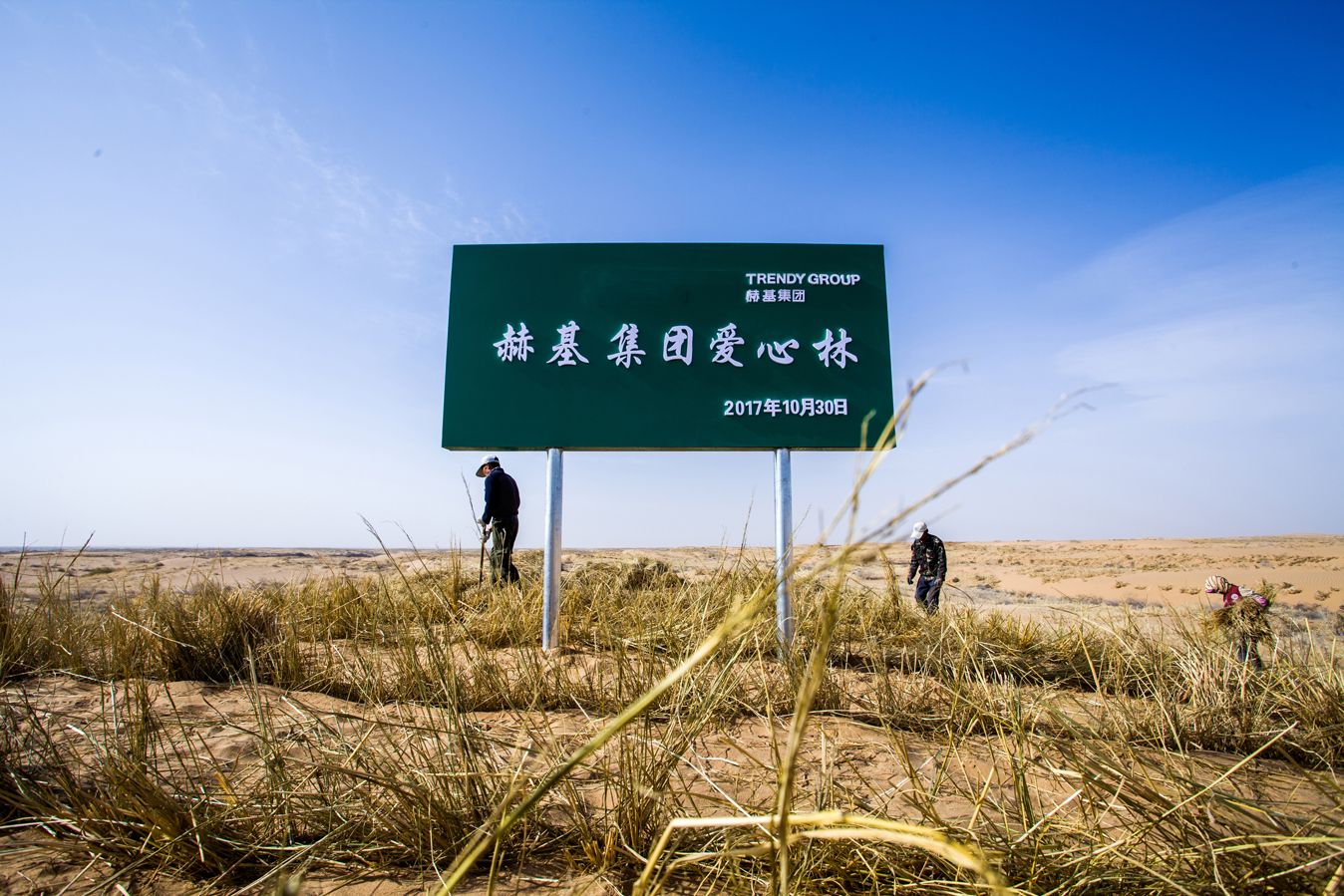 赫基集团十万绿林，一个新的起点