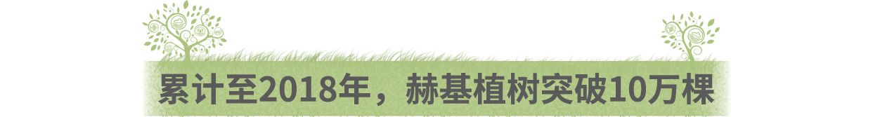 赫基集团十万绿林，一个新的起点