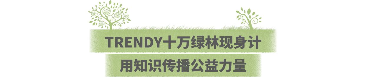 赫基集团十万绿林，一个新的起点