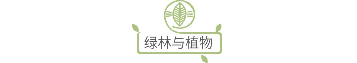 赫基集团十万绿林，一个新的起点