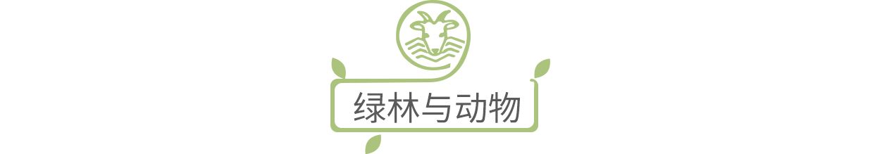 赫基集团十万绿林，一个新的起点